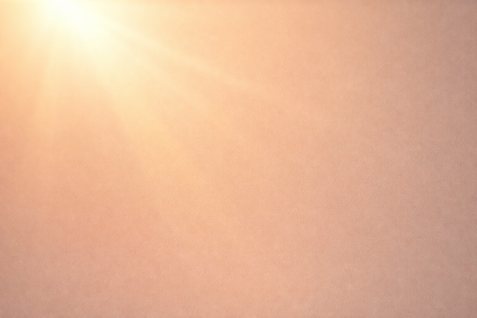 船乗り　生活　日常　現役の過ごし方