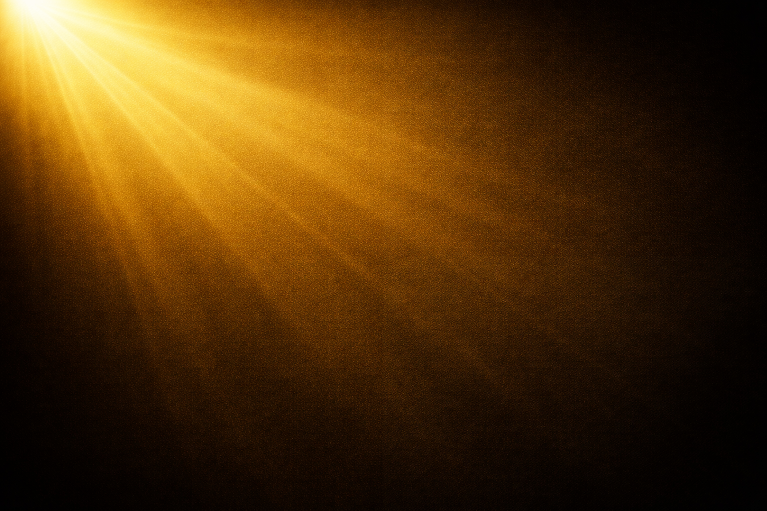 船乗りの現実 きつさ